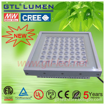 Radar sensors LED canopy light   ETL listed CREE LED  Meanwell driver